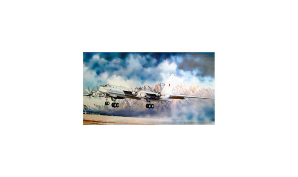 Самолет ТУ-95 МС